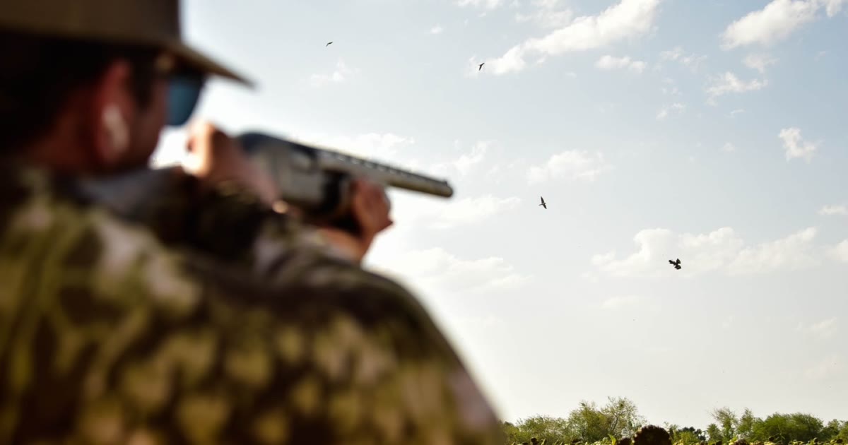 Mac's Dove Hunts dove hunting in Mercedes, Texas